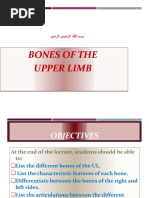 Bones of Upper Limbs