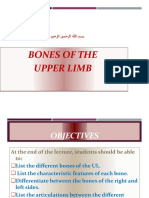 Bones of Upper Limbs