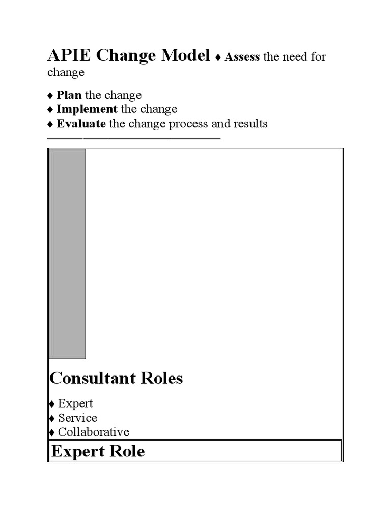 APIE Change Model Overview | PDF