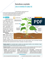 Reactualizarea Cunoștințelor 1.