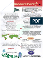 Mozambique Tilapia Fish Species Profile