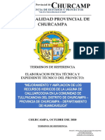 TERMINOS DE REFERENCIA reforestacion.docx