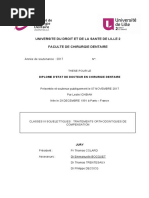 2017LIL2C061.pdf