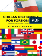 Chilean Dictionary For Foreigners