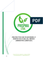 Identidad Corporativa Prispma Ltda