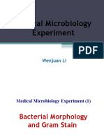 Bacterial Morphology and Gram Stain