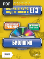 Как осуществляется газообмен у деревьев с пробковыми стволами