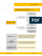 clases entidades locales.pdf