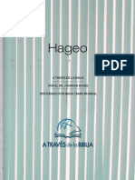 Hageo, Notas y Bosquejos.pdf