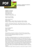 Download cebollin by Roger Nicolas Ojeda Camacho SN48186771 doc pdf