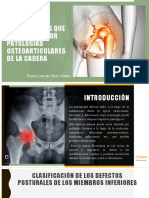 Alteraciones posturales y biomecánicas que repercuten por patologías osteoarticulares de la cadera