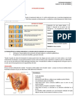 14.-Patologia Mamaria