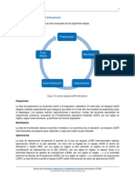 Guías Insarag 2015 PDF