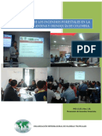 Causas Incendios Forestales PDF