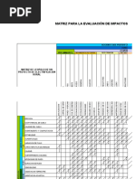 Formato de Amef | PDF | Naturaleza