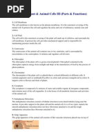 Cell Parts and Their Functions