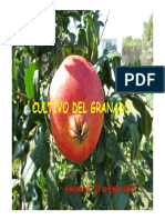 cultivo-granadov.pdf