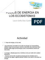 Flujos de Energia en Los Ecosistemas