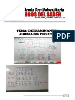 Determinantes PDF