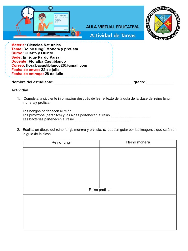 Actividad de Ciencias Naturales | PDF | Ciencias sociales | Estudios de  idiomas extranjeros