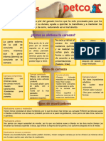 Infografía Carnanzas.pdf