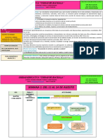 Ficha Ped. Proyecto 1 Segu. A-B-C