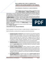 Estados Resultados Integrales Horizontales y Verticales