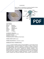 PARASITOLOGÍA 3era CLASE