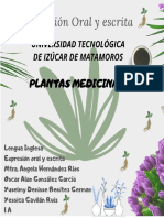 8.1.ProyectoOrganizadores PlantasMedicinales PDF