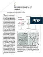 Understanding Mechanisms of Gene Expression: E. Los