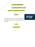 Ensayo 1.pdf