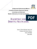 Algoritmo Sobre Diabetes Gestacional PDF