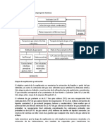 Actividades Relacionadas Al Proyecto Camisea