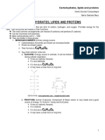 3.2 Carbohydrates, Lipids, and Proteins