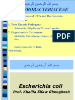 Lecture 16 Escherichia Coli