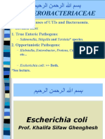 Escherichia coli Gram-negative pathogens