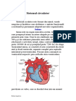 Referat - Clopotel.ro Sistemul Circulator