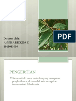 Annisa Rizkiia Z (1911011010)Syzgium polyanthum(Daun Salam).pptx