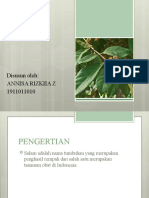 Annisa Rizkiia Z (1911011010) Syzgium Polyanthum (Daun Salam)