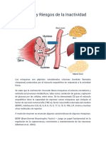 Mioquinas y Riesgos de La Inactividad Física