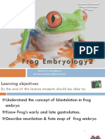 Frog Embryology PDF