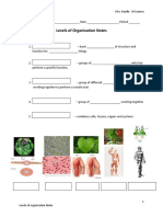 Levels of Organization Power Point and Activity PDF