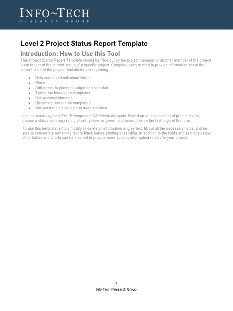 Level 2 Project Status Report Template | PDF | Business
