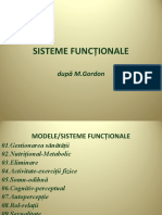 Sisteme Functionale