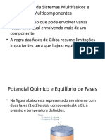 Equilíbrio de Sistemas Multifásicos e Multicomponentes