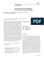 Evaluation of Desho Grass (Pennisetum Pedicellatum) Hay As A Basal Diet For Growing Local Sheep in Ethiopia