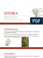 Efedra: propriedades, efeitos e regulamentação da planta