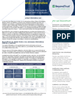 ESP Ds Beyondtrust Corp Overview - LA