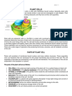 Plantcells: Partsofplantcell