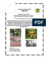 CACAO PIURA (1).pdf